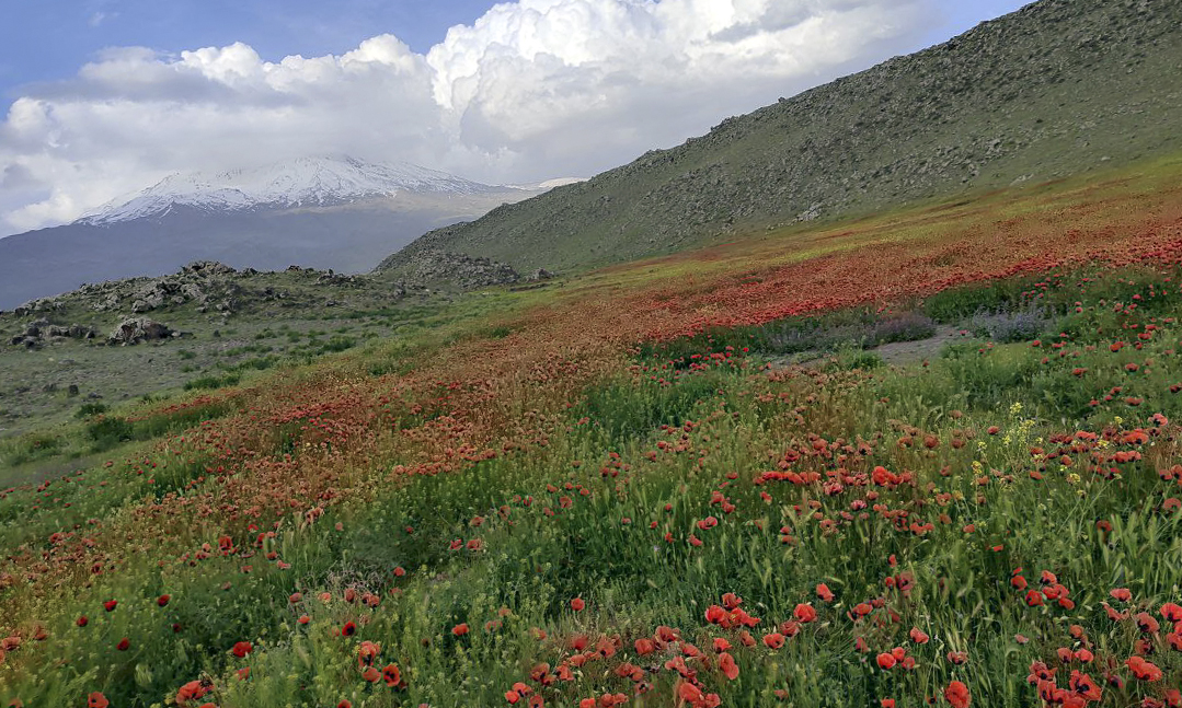 Mount Ararat Hike